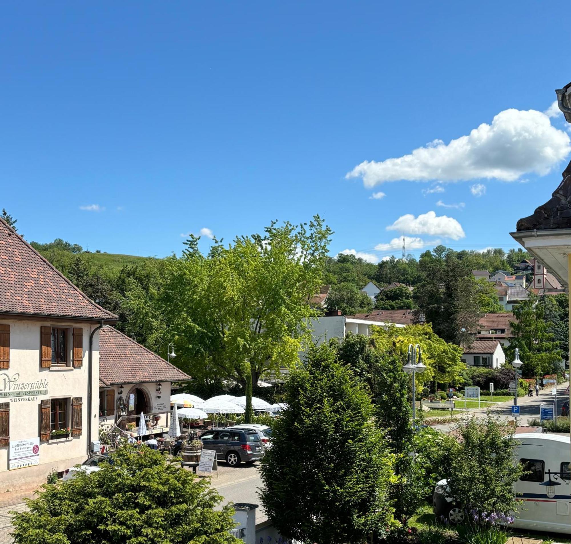 Gesamte Wohnung, Kueche, Parkplatz, Terrasse Bad Bellingen Extérieur photo