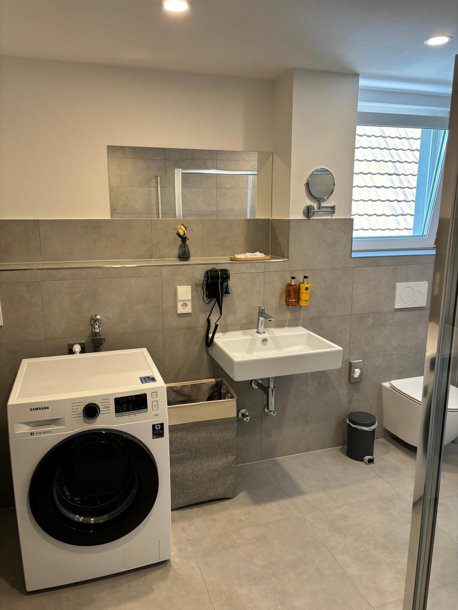 Gesamte Wohnung, Kueche, Parkplatz, Terrasse Bad Bellingen Extérieur photo