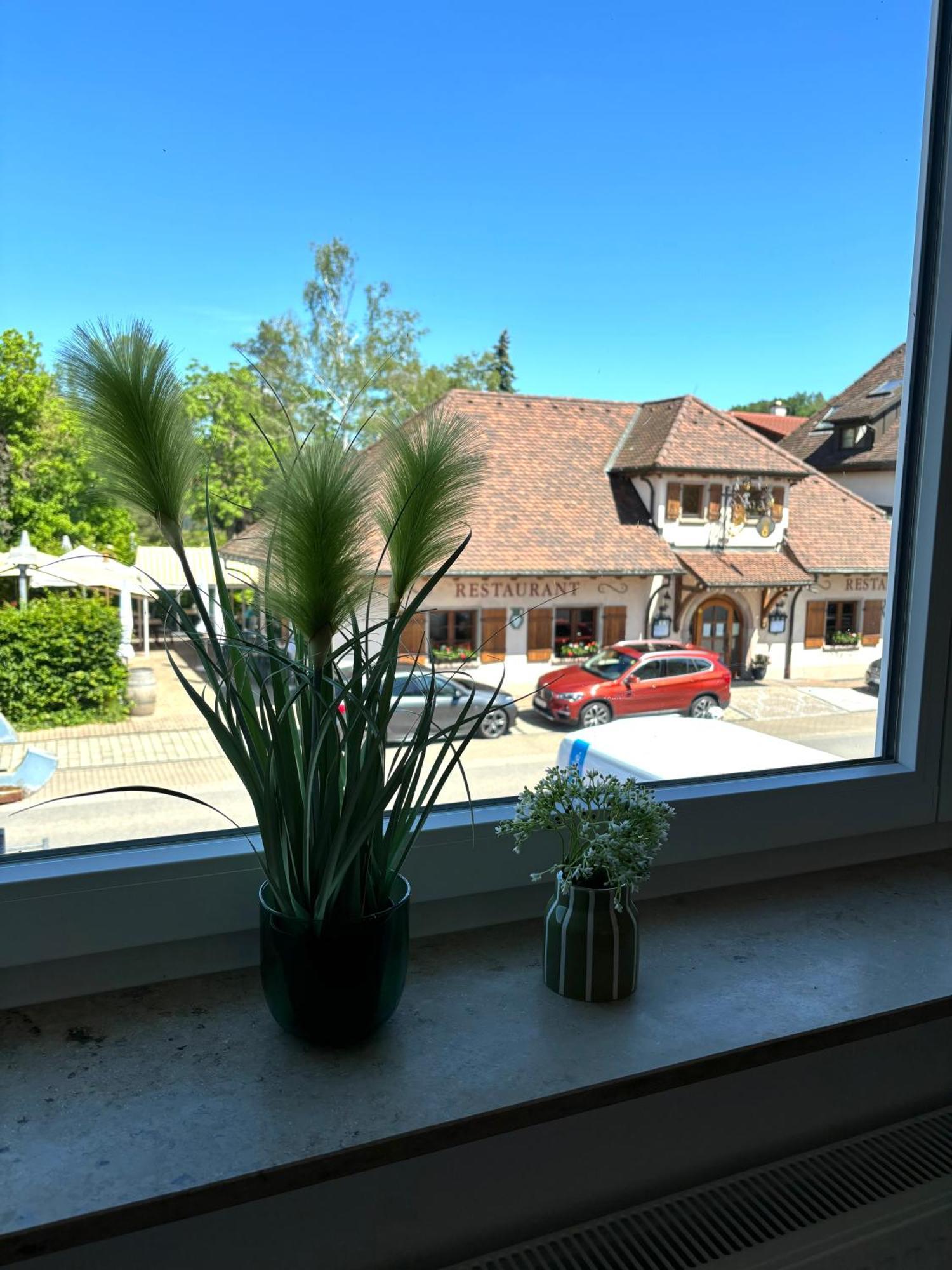 Gesamte Wohnung, Kueche, Parkplatz, Terrasse Bad Bellingen Extérieur photo